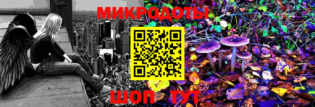 Галлюциногенные грибы Psilocybe  Вход с VPN  Владимир 