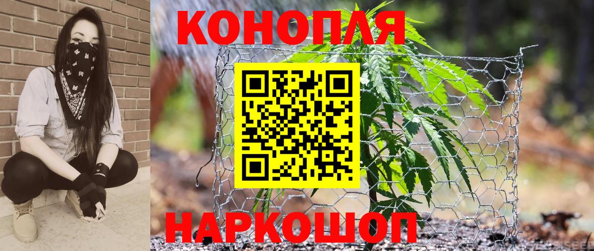 Владимир  Каннабис гибрид  Бошки Шишки OG Kush  Вход с VPN  Бошки марихуана SATIVA & INDICA 